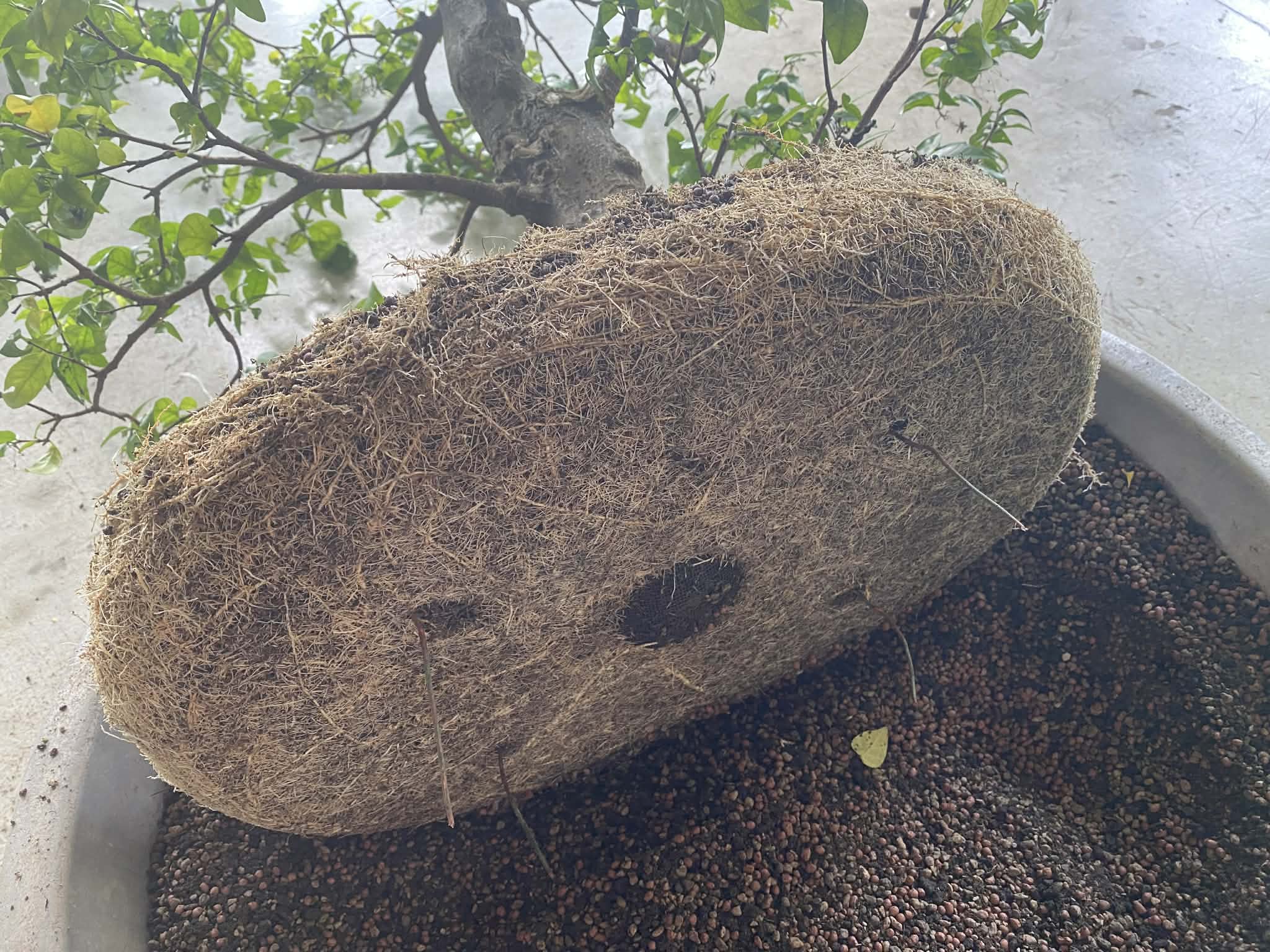 1e79b586 5362 4b82 a640 99225c6bec20