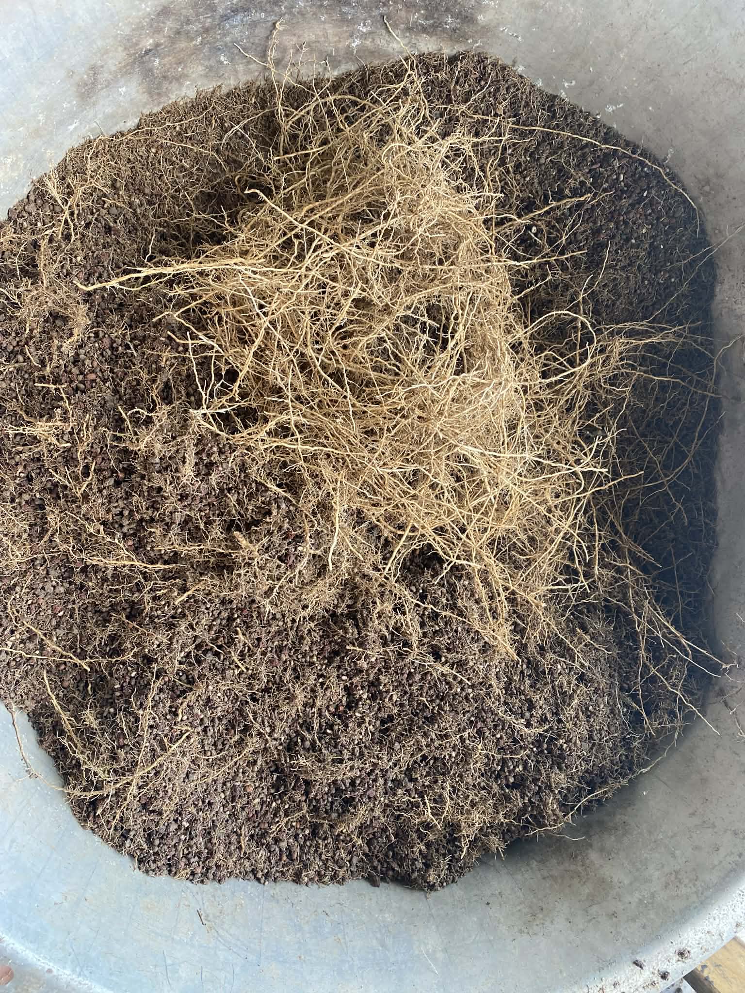 28520793 4ae0 4ed6 a3c1 2325bc97814f