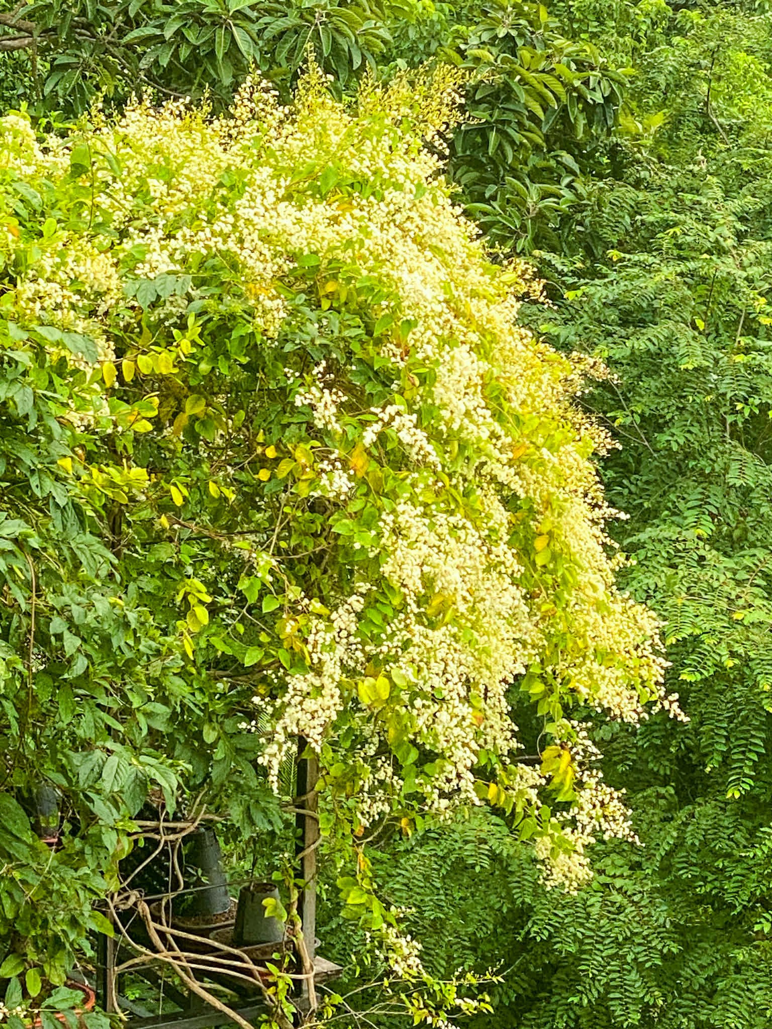 6272ebf1 9d63 4bc7 a473 705ce986ccf7