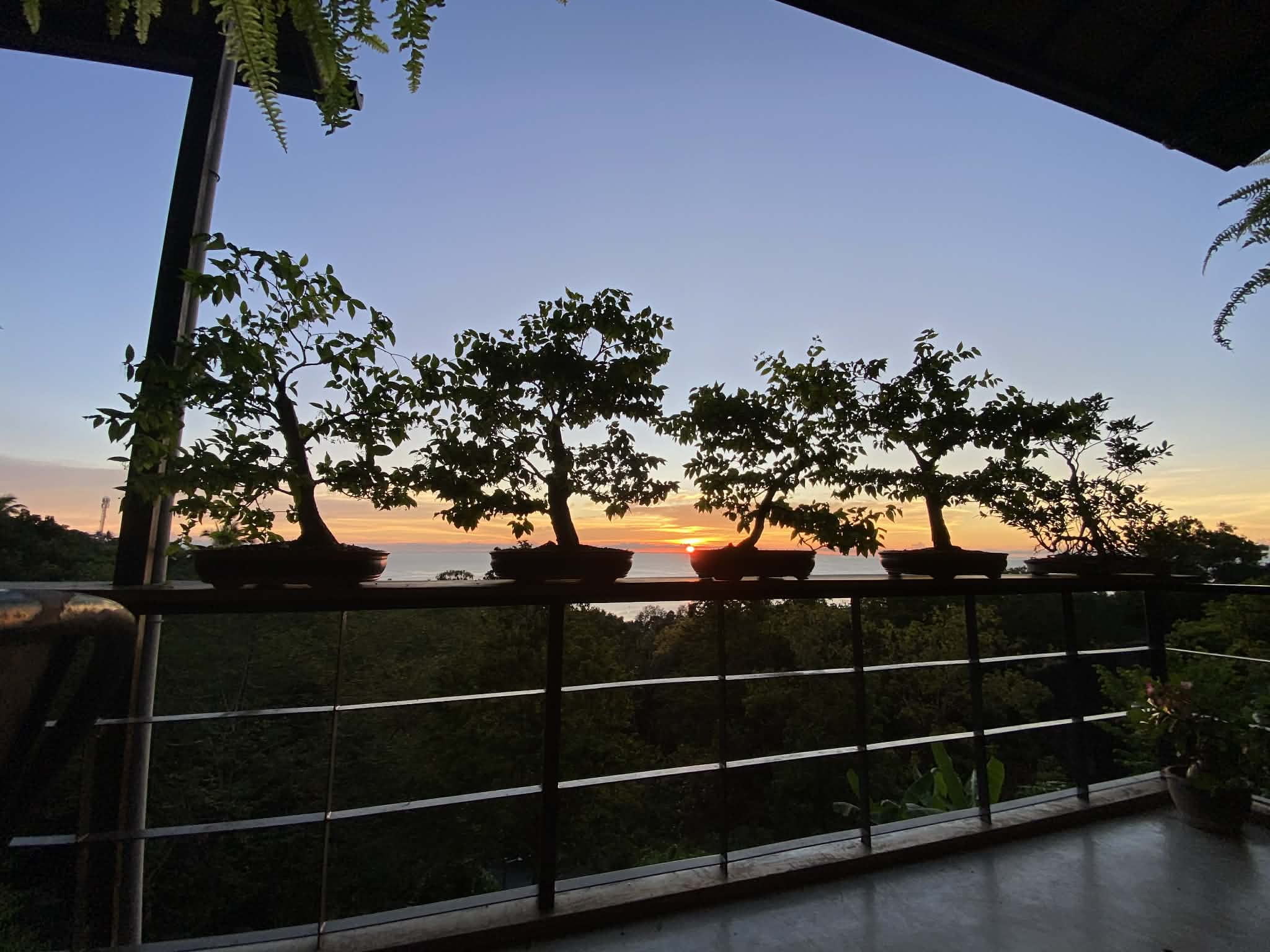 6e5e376f 4ae2 4f93 9df3 df4791bd2981